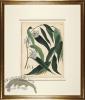 Andrews Botanicals in Gold Frame 02